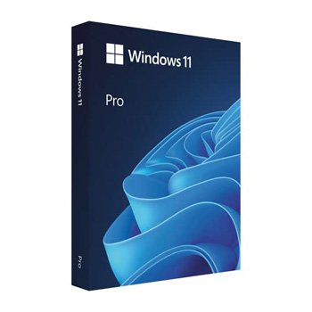 Windows 11 Pro FPP